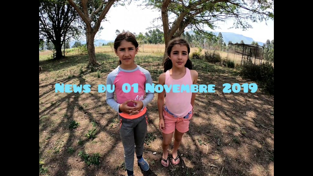 News du 01 Novembre 2019